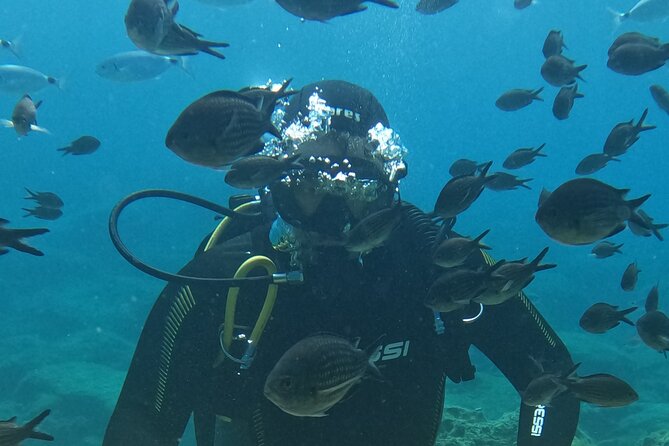 Dive The Rock (Scuba Diving Experience in Protaras) - Green Bay gives this short session its character