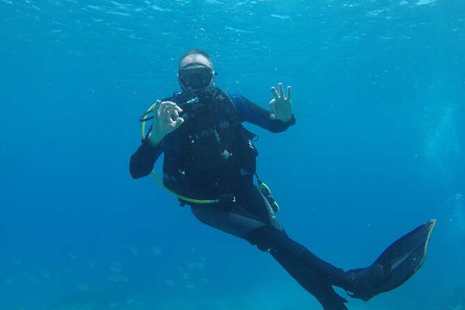 Dive The Rock (Scuba Diving Experience in Protaras) - What the $102.12 price really covers