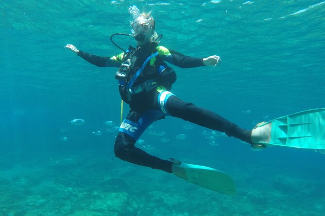 Dive The Rock (Scuba Diving Experience in Protaras) - Timing, weather, and what to plan for