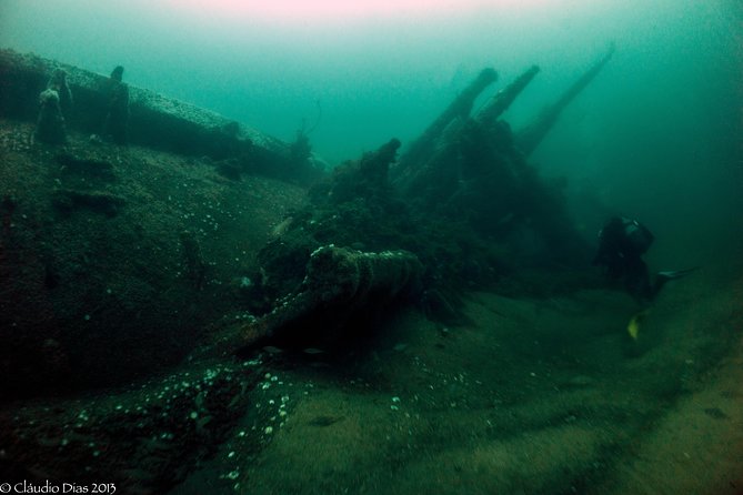 Dive the U-boat 1277, the most iconic dive in Portugal? - The marine life around the submarine
