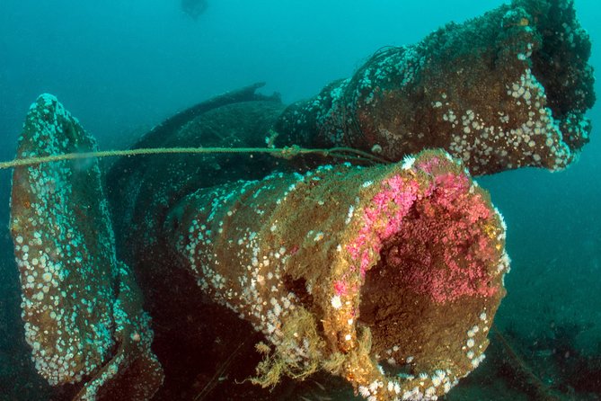 Dive the U-boat 1277, the most iconic dive in Portugal? - Who will enjoy this most