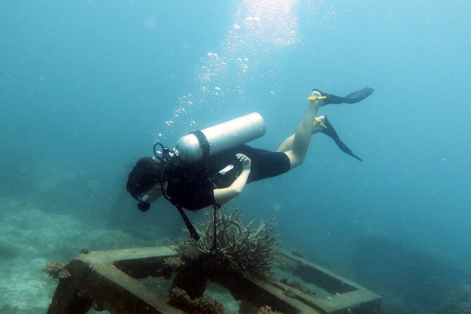 Dive Trip Experience in Koh Tao - The first session around Koh Tao
