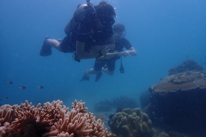 Dive Trip Experience in Koh Tao - Instructors who matter to beginners