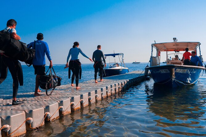 Dive trip to the coral reefs of Fujairah for certified scuba divers - What this Fujairah reef day is really like