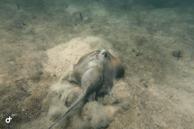Dive trip with 2 dives (start from Ko Kut) - What is included on the wooden boat