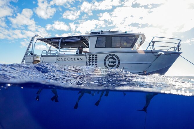 Dive with Sharks in Hawaii: Shark Tour from Haleiwa - Haleiwa Harbor is the start of the adventure