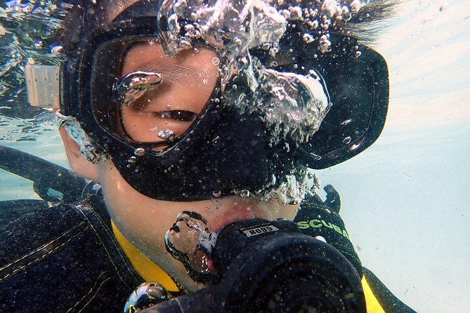 DiveGurus -Scuba Diving for Kids(Ages 6-11yrs) - Is $80 a fair price?