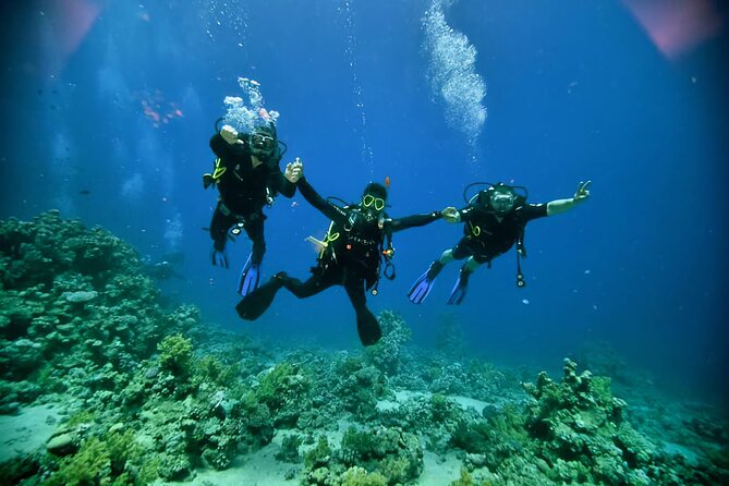 Diving And Snorkeling To Ras Mohamed And White Island By VIP Boat - Key points before you book