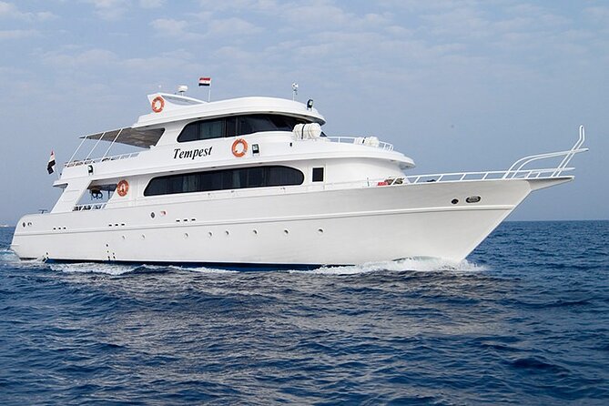 Diving And Snorkeling To Ras Mohamed And White Island By VIP Boat - Snorkeling in clear water over coral