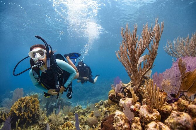 Diving And Snorkeling To Ras Mohamed And White Island By VIP Boat - White Island is a sandbar, not a large beach