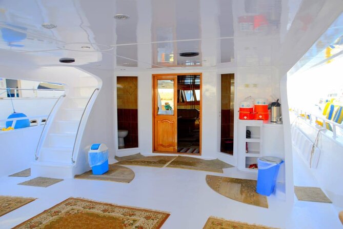 Diving And Snorkeling To Ras Mohamed And White Island By VIP Boat - Pickup, timing, and group size