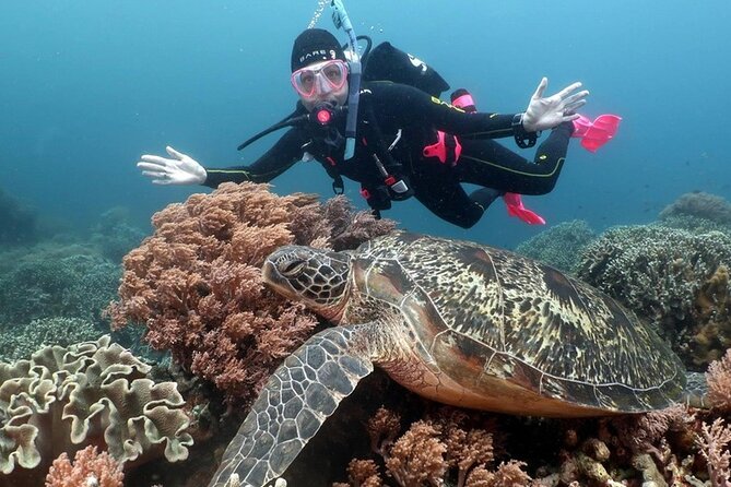 Diving And Snorkeling To Ras Mohamed And White Island By VIP Boat - Who will enjoy this experience most