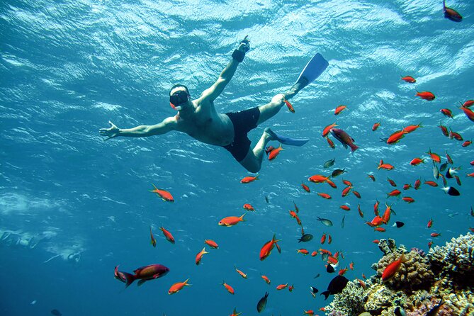 Diving and Visiting Giftun island with Snorkeling Boat Trip - Setting out from Hurghada at 8:30 am