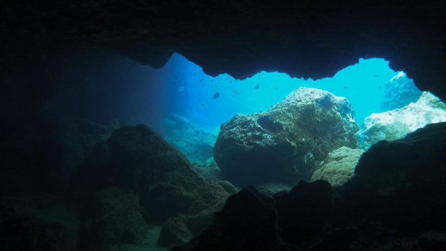 Diving at Lanzarote - 2 guided dives for certified divers - What the underwater scenery offers