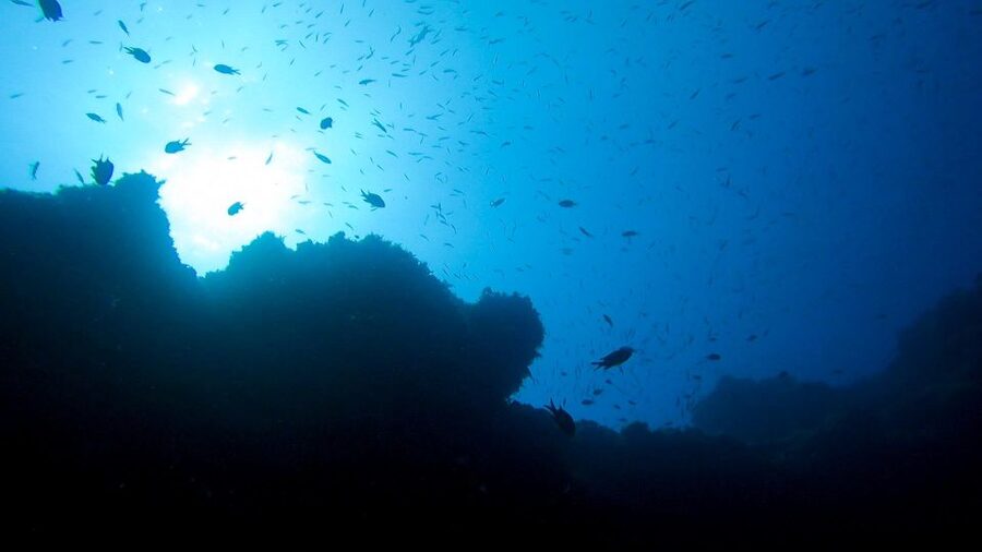 Diving at Lanzarote - 2 guided dives for certified divers - What to bring and what to leave behind