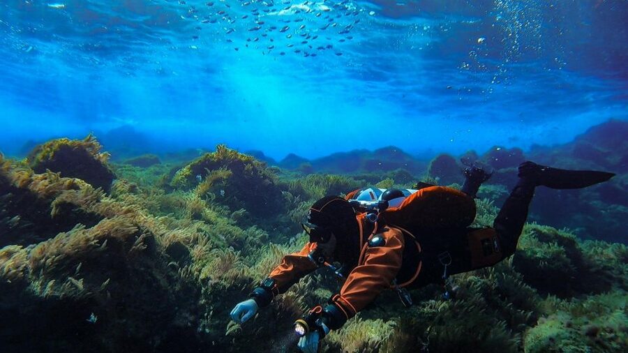 Diving at Lanzarote - 2 guided dives for certified divers - Who will get the most from this outing