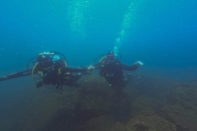 Diving at the Baia Submerged Park for certified divers - How the listed stops fit together
