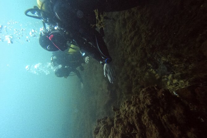 Diving at the Baia Submerged Park for certified divers - What the price includes at $99.94