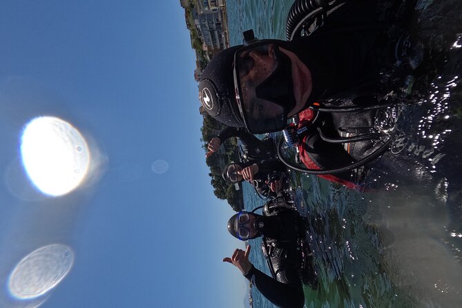 Diving at the Baia Submerged Park for certified divers - Who will enjoy this most
