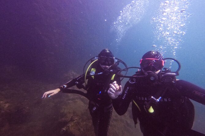 Diving at the Baia Submerged Park for certified divers - Timing, weather, and practical planning