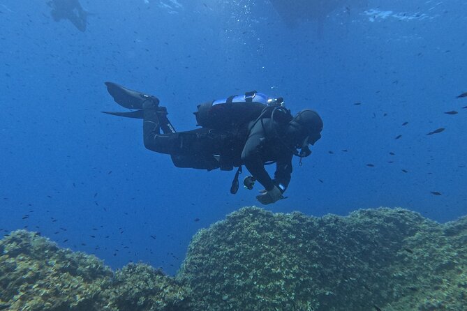 Diving at the Baia Submerged Park for certified divers - Should you book this Baia scuba outing?