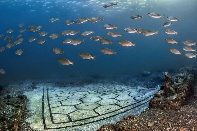 Diving at the Baia Submerged Park for certified divers - What you see at about 5 meters