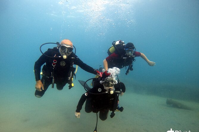 Diving baptism in the Marine Reserve of Cabo Tiñoso - Who should book this experience?