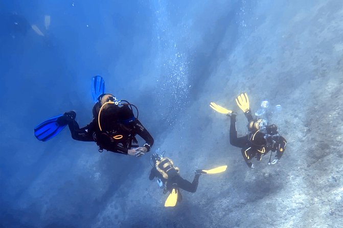 Diving baptism in the Marine Reserve of Cabo Tiñoso - What the three-hour session is designed to teach