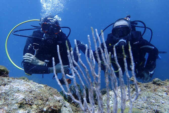 Diving baptism in the Montgrí Natural Park - Why the one-to-one instruction matters