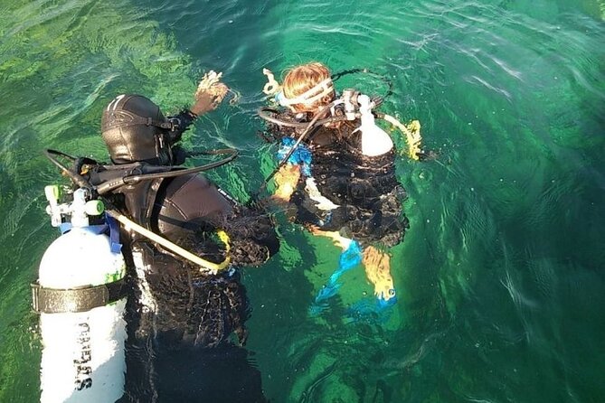 Diving baptism with cylinders (Introdive) at the Capo Carbonara Marine Protected Area - Your first underwater steps at Capo Carbonara