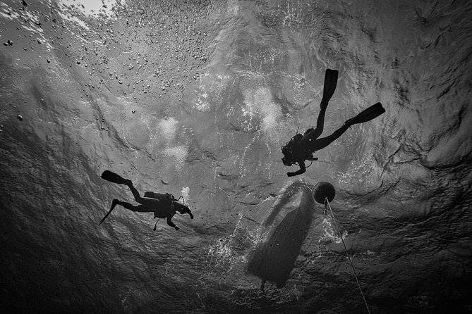 Diving baptism with cylinders (Introdive) at the Capo Carbonara Marine Protected Area - Who should book this experience