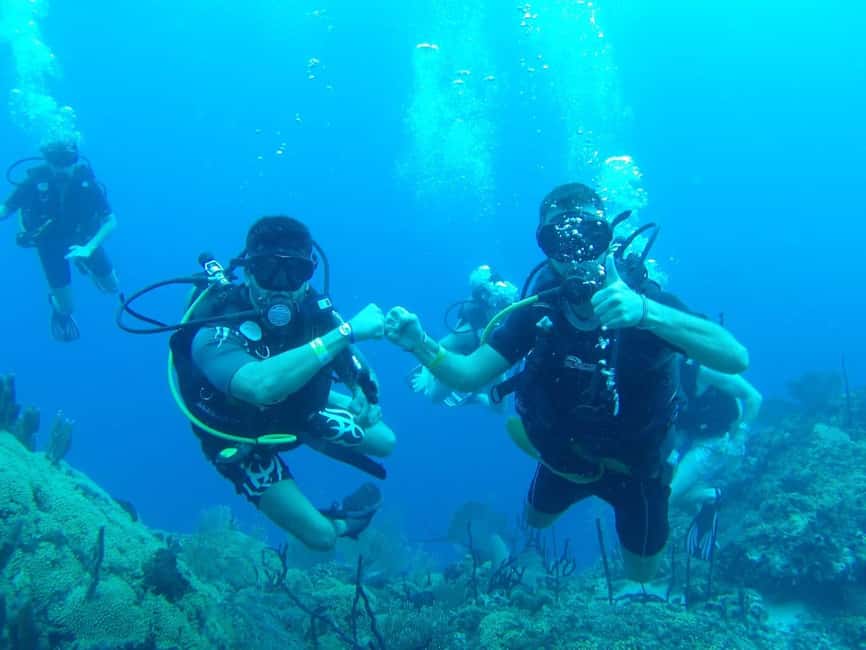 diving catalina island from punta cana - First underwater stop, The Wall
