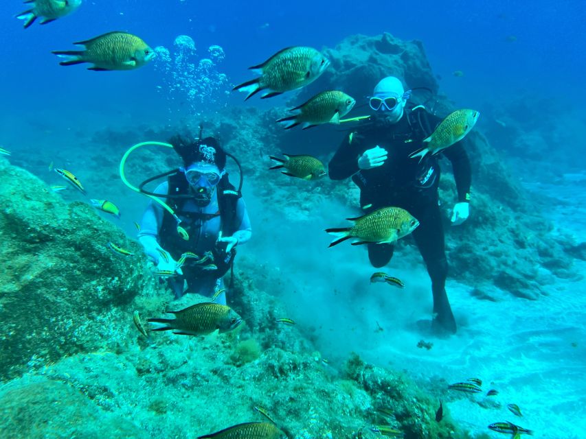 Diving course for beginners in turtle area Tenerife - Moving from the shallows into the Atlantic