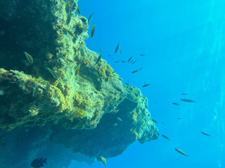 Diving course for beginners in turtle area Tenerife - What the $100 price really includes