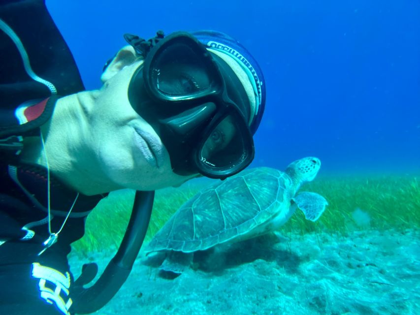 Diving course for beginners in turtle area Tenerife - Photos, videos, and the first-experience card