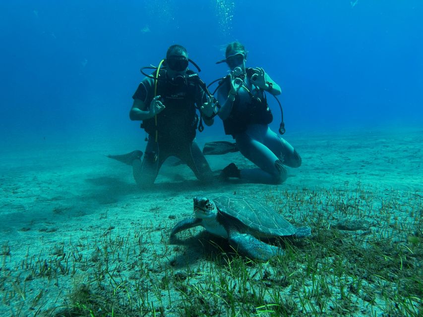 Diving course for beginners in turtle area Tenerife - Learning to breathe underwater