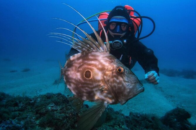 Diving Course with PADI Certification in Costa Brava - What your 9:00 am start means