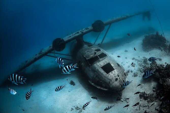 Diving day - Two Tahitian underwater sites in one morning