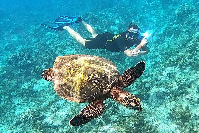 Diving day - A small operation with practical hands-on help