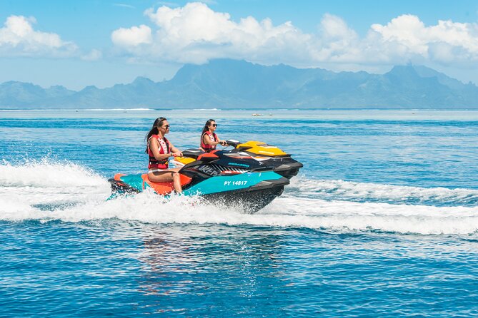 Diving day - Is $264.13 a fair price?