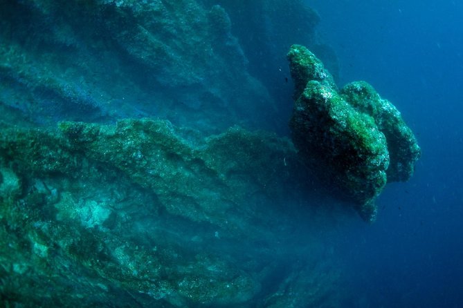 Diving day tour with 2 dives - Who will get the most from this day