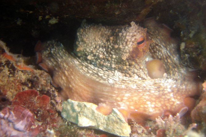 Diving day tour with 2 dives - Practical details that can save you trouble