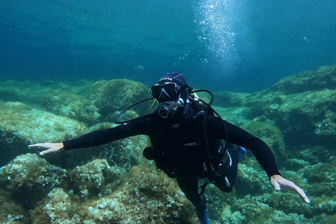 Diving experience in Malta - A first look beneath Malta’s surface