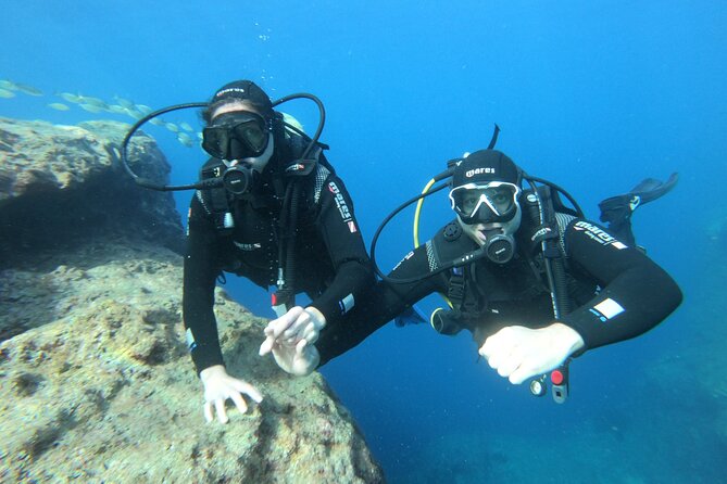 Diving experience in Malta - What your underwater hour feels like