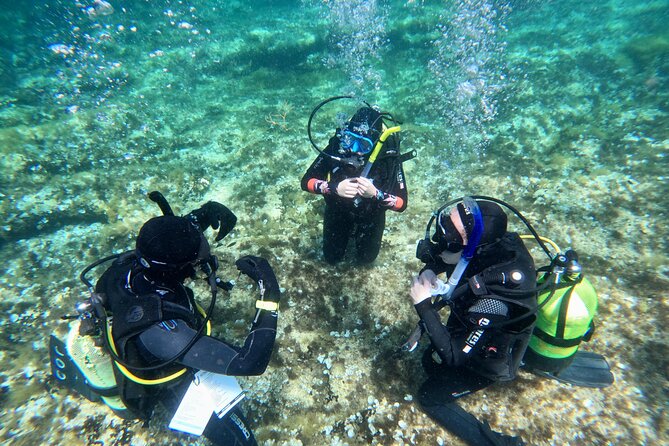 Diving experience in Malta - Meeting at Ramla Bay Resort