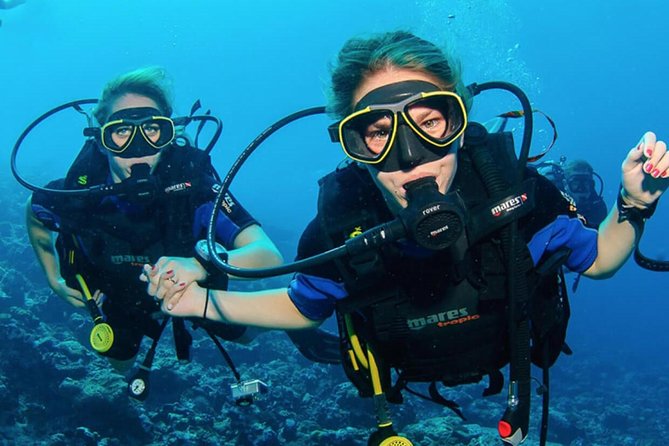 Diving (For Beginner diver) - Pattaya - Key points to know before booking