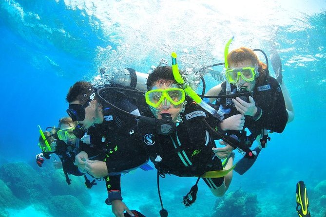 Diving (For Beginner diver) - Pattaya - Learning safety before entering the water