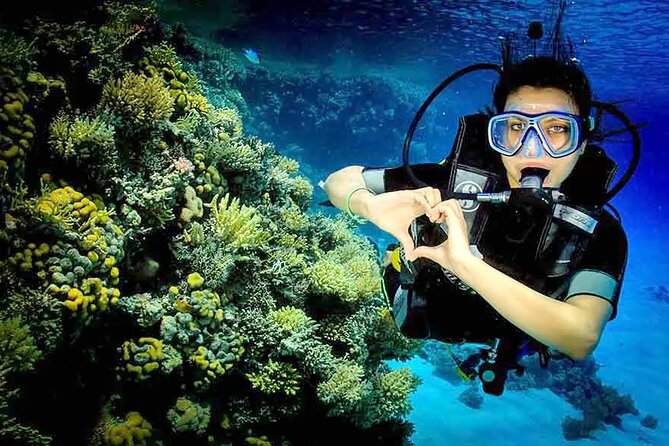 Diving for Beginner Two Dives Boat Trip with transfer in Hurghada - Equipment, instruction, and safety