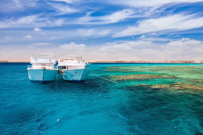 Diving for Beginner Two Dives Boat Trip with transfer in Hurghada - The $23 price and what it really covers