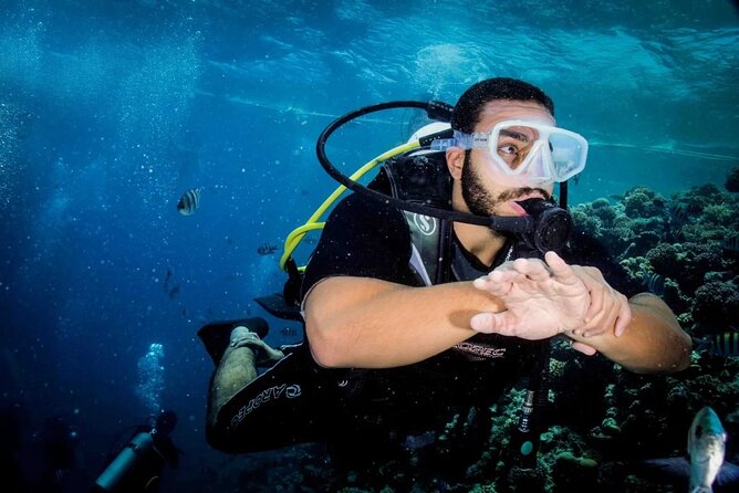 Diving for Beginner Two Dives Boat Trip with transfer in Hurghada - The 8:00 am start and hotel transfer